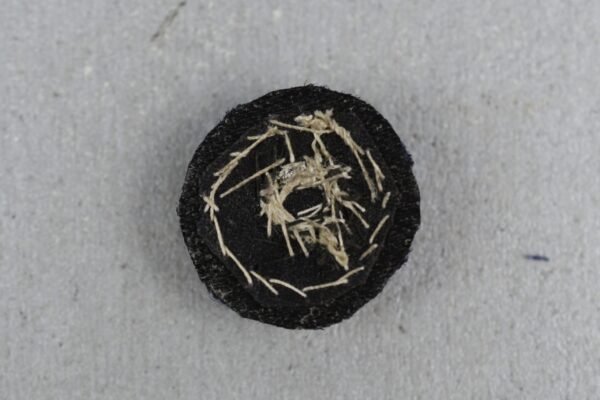 Kriegsmarine/Luftwaffe ‘blue’ officer bullion overseas cap cocarde - Image 3