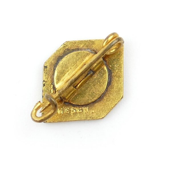 'Deutsche Stenografenschaft' Members Pin