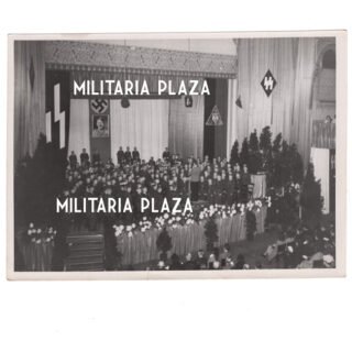 Dutch Germanic-SS Press Photo - The Hague