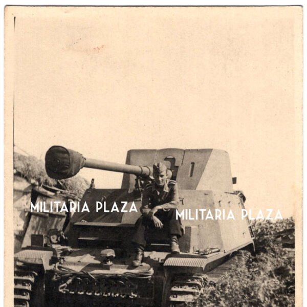 Marder II D Photograph