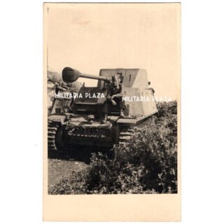 Marder II D Photograph
