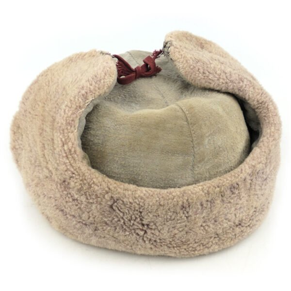 WW2 Soviet M1940 Ushanka